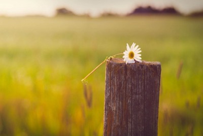 最新說說帶圖片2