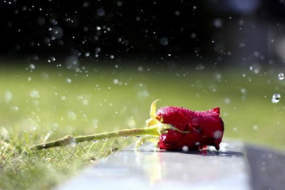 流行的說(shuō)說(shuō)帶圖片5