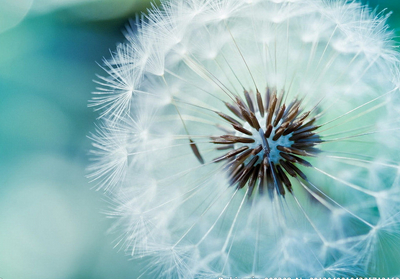 帶圖片的女生說說1