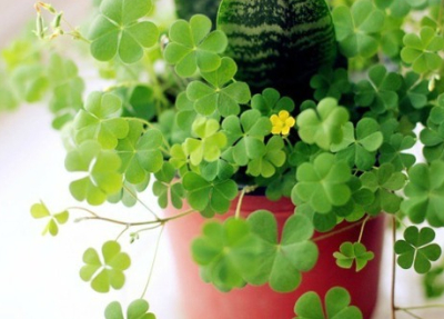 唯美古風(fēng)句子配圖片7