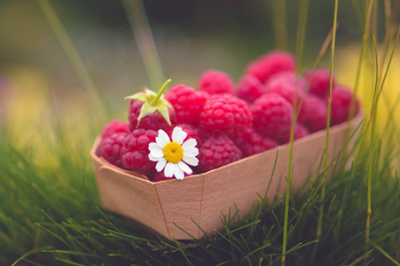 唯美古風(fēng)句子配圖片3