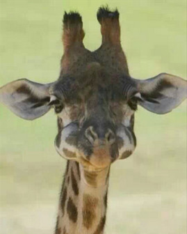 微信說說帶圖片：這個世界，看你二的人很多，陪你二的人很少10