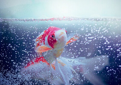 帶圖片的戀愛說說5