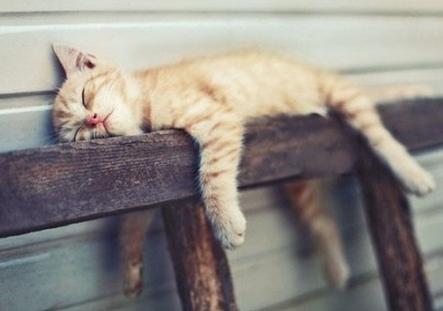 個性說說帶圖片7