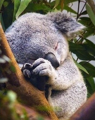 2015最新圖片說說大全3