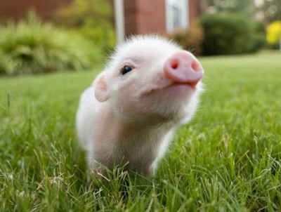 QQ空間搞笑說(shuō)說(shuō)帶圖片3