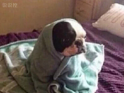 內(nèi)涵說說帶圖片6