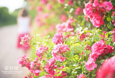 有哲理的句子帶圖片4