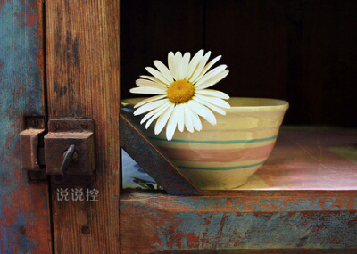 好聽的英文說說帶圖片，有圖片的英文說說心情短語2