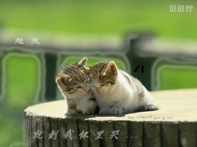 男生說說帶圖片5