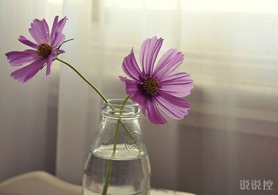 好看的空間說(shuō)說(shuō)帶圖片1