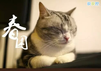 個(gè)性說(shuō)說(shuō)大全帶圖片4