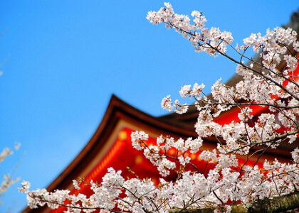 人氣說說帶圖片5