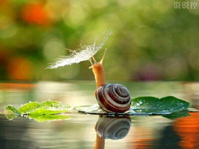 空間個性說說帶圖片7