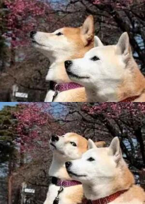 最適合發(fā)說說的圖片，適合寫說說的圖片大全5