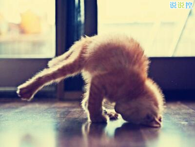 哲理英文說說帶圖片，哲理英文句子帶翻譯1