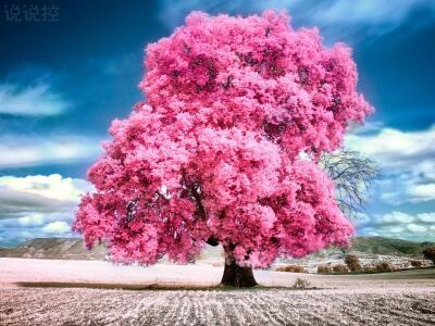 傷感唯美圖片說說，唯美傷感說說配圖6