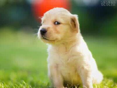 逗比的說說帶圖片，逗比說說配圖4