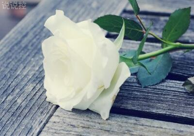 有意境說說帶圖片，意境說說配圖片6