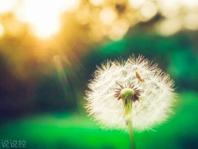 經(jīng)典語句帶圖片，經(jīng)典語錄圖片大全2