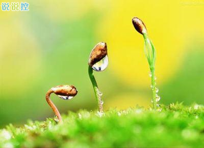 勵志的句子加圖片6