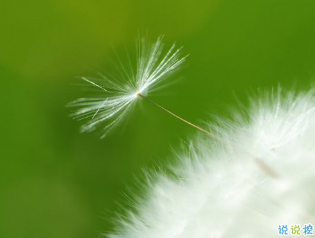 幸福愛(ài)情個(gè)性說(shuō)說(shuō)大全最新版配圖 2018唯美愛(ài)情說(shuō)說(shuō)帶圖片14