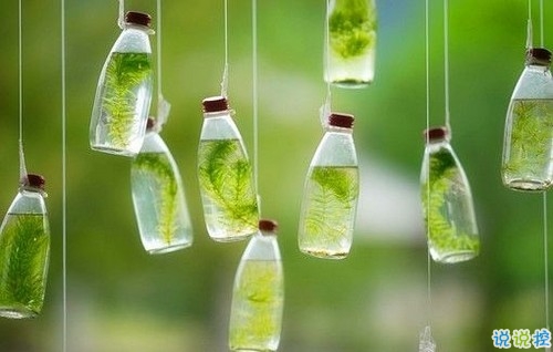 用一生來(lái)愛你的說(shuō)說(shuō)表白的話配圖 句句經(jīng)典值得一看的愛情說(shuō)說(shuō)9