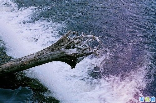 我們一路走來(lái)都很堅(jiān)強(qiáng)的勵(lì)志說(shuō)說(shuō)帶圖片 很正能量的經(jīng)典勵(lì)志說(shuō)說(shuō)14