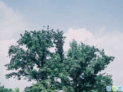 太陽好大好熱的說說 太陽毒辣的微信說說配圖1