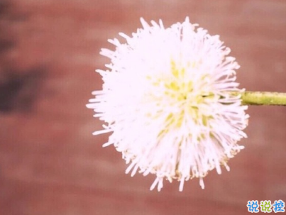 微信個(gè)性說說簡短帶圖片 很不一樣的微信說說精選3