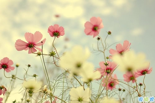 失望透頂?shù)碾y過(guò)說(shuō)說(shuō)帶圖片 要么沒(méi)有要么全部要么現(xiàn)在要么永不3