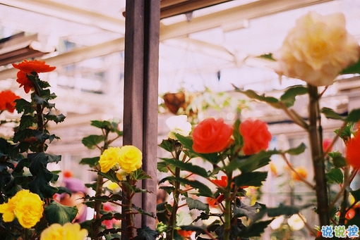 獨(dú)一無二微信個(gè)性說說帶圖片 路那么長少一些人也無妨9