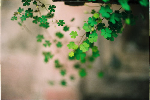 很勵(lì)志正能量的早安心語(yǔ)說(shuō)說(shuō)帶圖片11