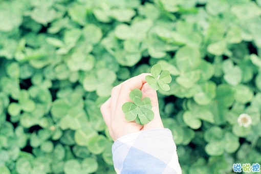 人生哲理句子大全唯美簡短 迷茫人必看的哲理句子1