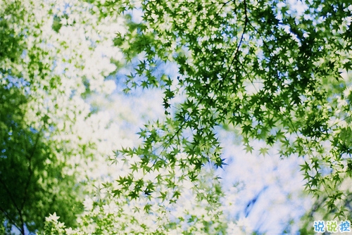 心好累的傷感說說非主流帶圖片 喜歡一個(gè)人卻得不到的悲傷說說12