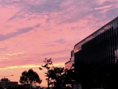 讓人怦然心動的情話合集帶圖片 瞬間上頭臉紅的情話詩句2