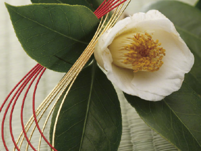 勵(lì)志句子致自己帶圖片 滿滿的溫暖的心靈雞湯句子7