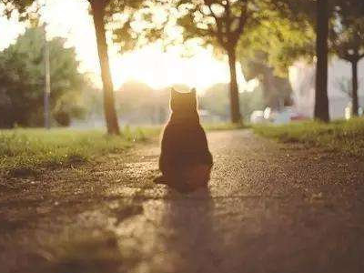 勵(lì)志句子致自己帶圖片 滿滿的溫暖的心靈雞湯句子5