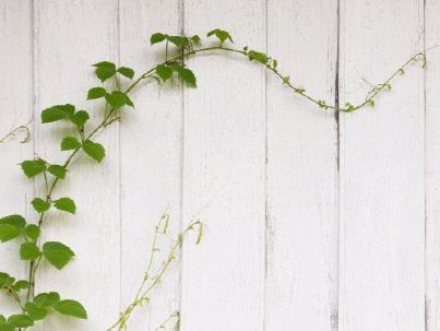 勵(lì)志句子致自己帶圖片 滿滿的溫暖的心靈雞湯句子13