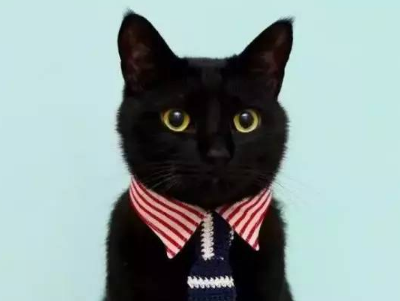 抖音網(wǎng)紅搞笑情話說說帶圖片 很有意思的情話短句8