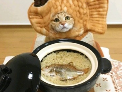 抖音網(wǎng)紅搞笑情話說說帶圖片 很有意思的情話短句10