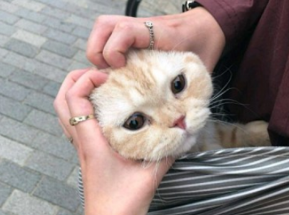 抖音網(wǎng)紅搞笑情話說說帶圖片 很有意思的情話短句15