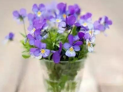 2019五月你好勵志說說配圖 微信勵志說說激人奮進5