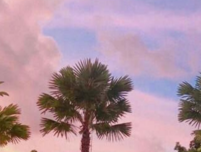 2019五月你好勵志說說配圖 微信勵志說說激人奮進12