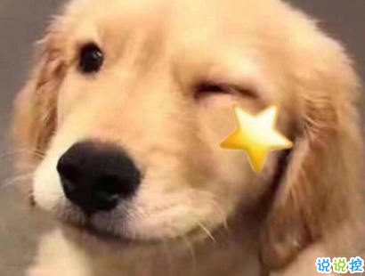 qq擴(kuò)列說說搞笑一點(diǎn)的 十分沙雕搞人的擴(kuò)列說說1