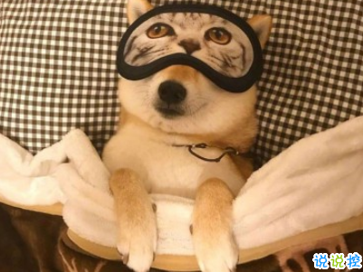 qq擴(kuò)列說說搞笑一點(diǎn)的 十分沙雕搞人的擴(kuò)列說說2