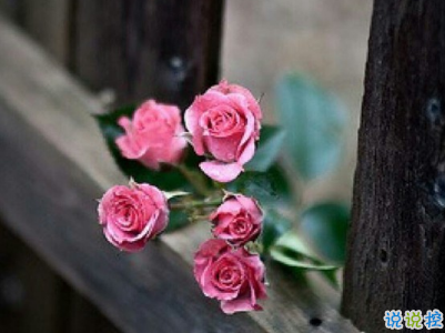 今年流行的經(jīng)典愛(ài)情語(yǔ)錄帶圖片 唯美動(dòng)聽(tīng)的愛(ài)情感悟3