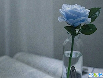 今年流行的經(jīng)典愛(ài)情語(yǔ)錄帶圖片 唯美動(dòng)聽(tīng)的愛(ài)情感悟12