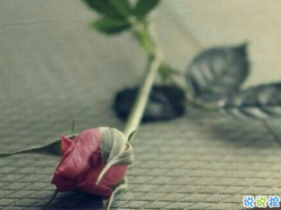 今年流行的經(jīng)典愛(ài)情語(yǔ)錄帶圖片 唯美動(dòng)聽(tīng)的愛(ài)情感悟8