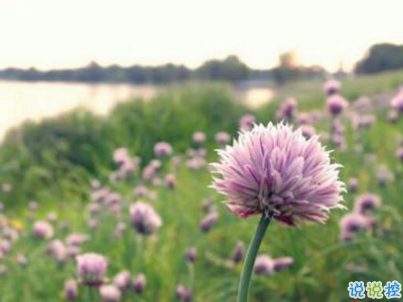 今年流行的經(jīng)典愛(ài)情語(yǔ)錄帶圖片 唯美動(dòng)聽(tīng)的愛(ài)情感悟5